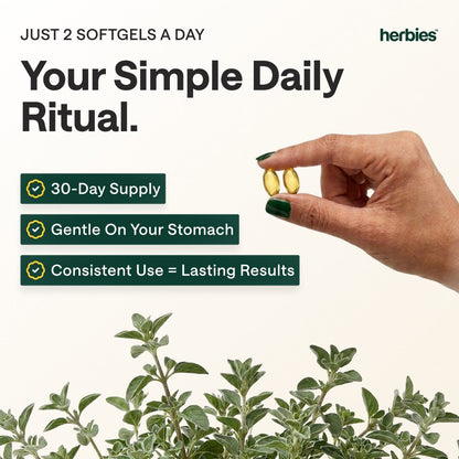 Oregano Daily
