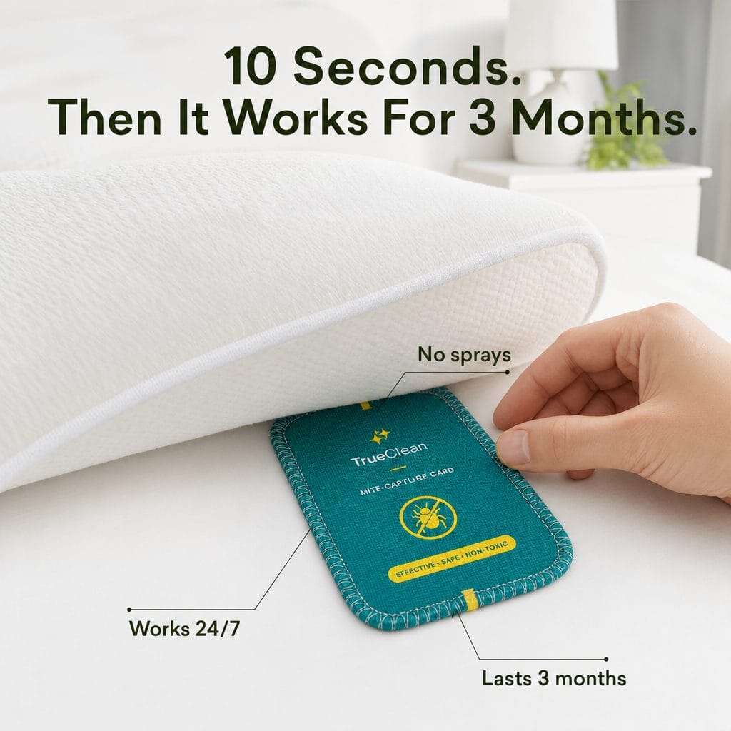 CaptureCards — Dust Mite Traps | 2-Year Refill Supply